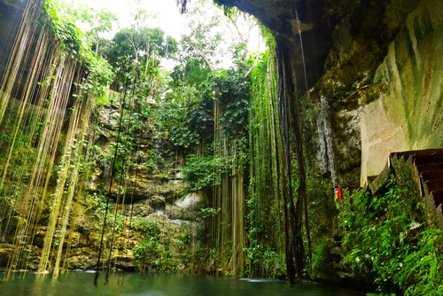 Höhle in Dschungel