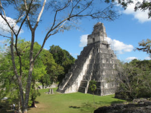 Ein großer Maya Temple in Tikal umgeben von Jungel.