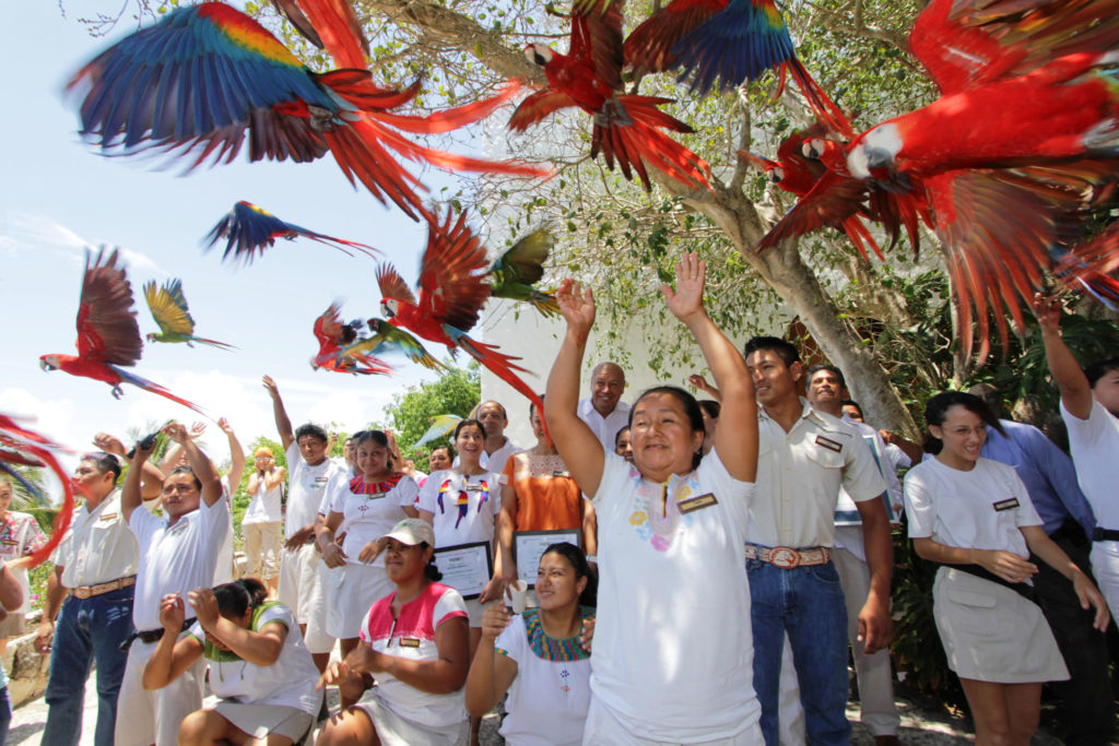 Xcaret_Papageien